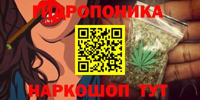 ALPHA PVP Аргун