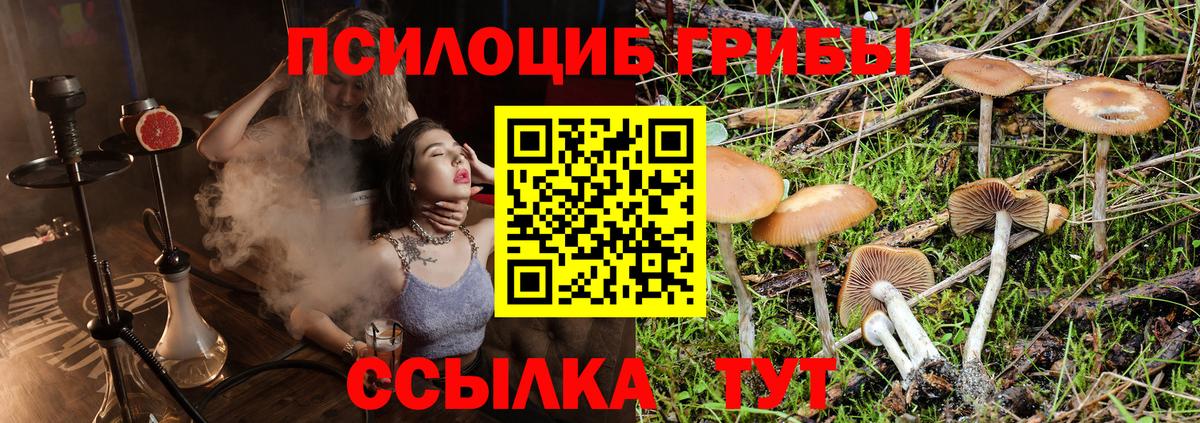 Галлюциногенные грибы Cubensis  Галлюциногенные грибы GOLDEN TEACHER  Вход с VPN  Апрелевка 